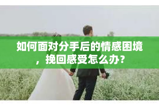 如何面对分手后的情感困境，挽回感受怎么办？
