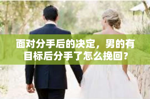 面对分手后的决定，男的有目标后分手了怎么挽回？