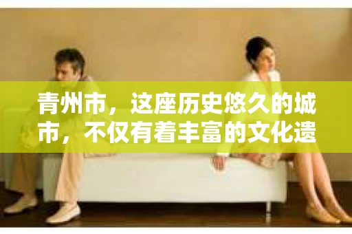 青州市，这座历史悠久的城市，不仅有着丰富的文化遗产，也有着现代生活的便捷。那么，问题来了——青州市有私家侦探公司吗？这个问题，对于需要侦探服务的人来说，无疑至关重要。接下来，我就来为大家揭开这个谜底。