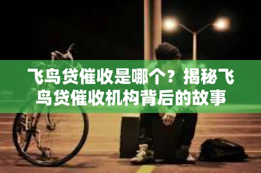 飞鸟贷催收是哪个？揭秘飞鸟贷催收机构背后的故事