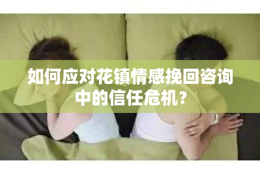 如何应对花镇情感挽回咨询中的信任危机？