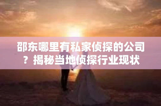 邵东哪里有私家侦探的公司？揭秘当地侦探行业现状