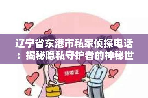 辽宁省东港市私家侦探电话：揭秘隐私守护者的神秘世界