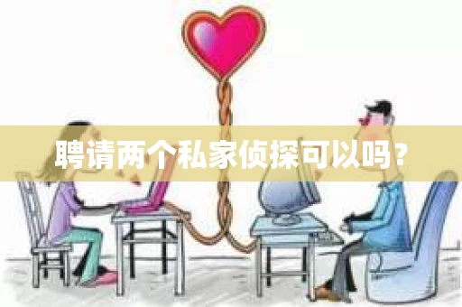聘请两个私家侦探可以吗？
