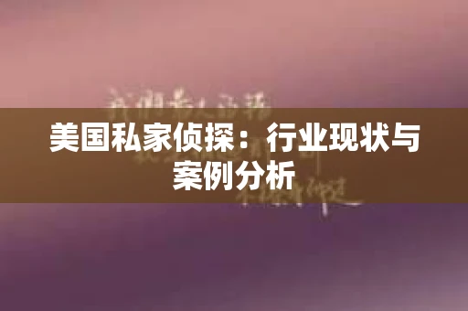 美国私家侦探：行业现状与案例分析