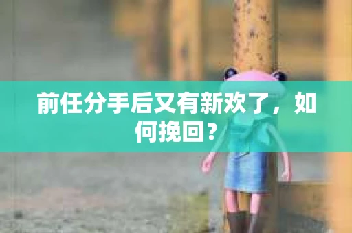 前任分手后又有新欢了，如何挽回？