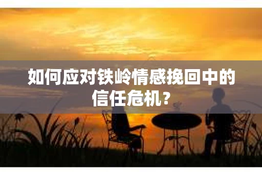 如何应对铁岭情感挽回中的信任危机？