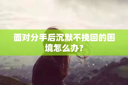 面对分手后沉默不挽回的困境怎么办? 面对分手后沉默不挽回的困境怎么办?